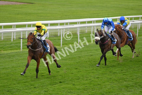 yr14052021r5-29 - Race 5 3.40pm The Jigsaw Sports Branding Handicap