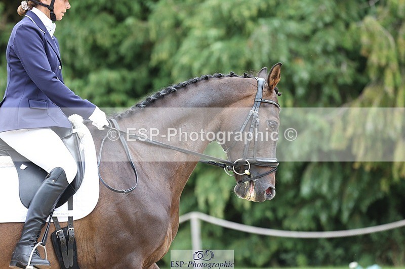 230813-150110-07932 - Cls 11 Elem Bronze 14.30 to End