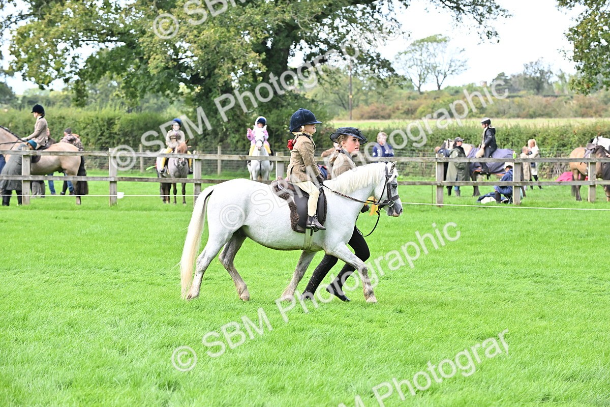 SBM_40167 - S20 - Lead Rein Mountain & Moorland Pony
