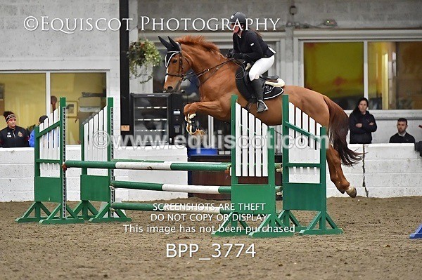 BPP_3774 - FRI CLASS 21 BR NOVICE/90CM