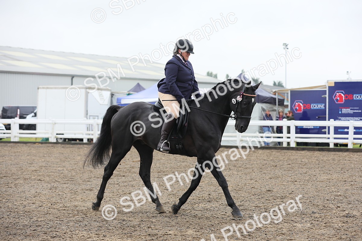 SBM_21307 - Class 805 - Ridden Veteran Horse