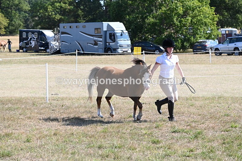 WJ6_7495 - Class 34 Judges Choice