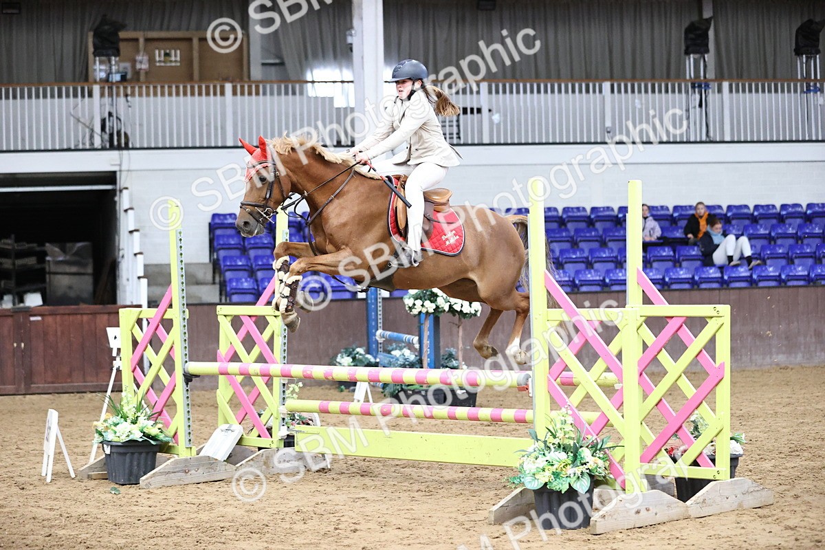 SBM_001918 - Class 10 - Pony British Novice 80cm Open