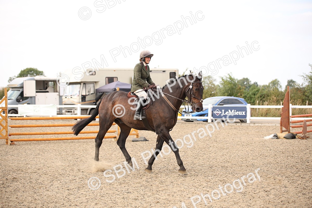 SBM_17335 - Class 410b - Working Veteran 90cm (20+)