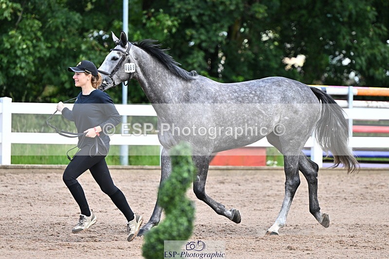 240718A-105252-01273 - Trot Up 12pm to 1pm