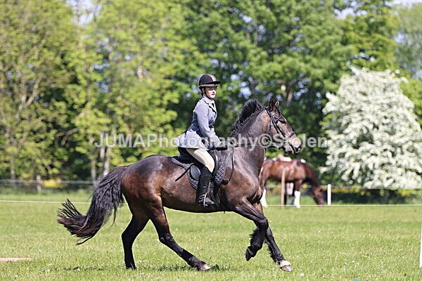 IMG_4163 - Working Hunter