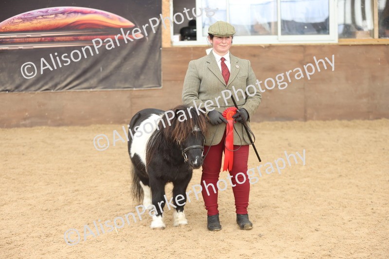 20251109-0413 - Class 15 - Coloureds