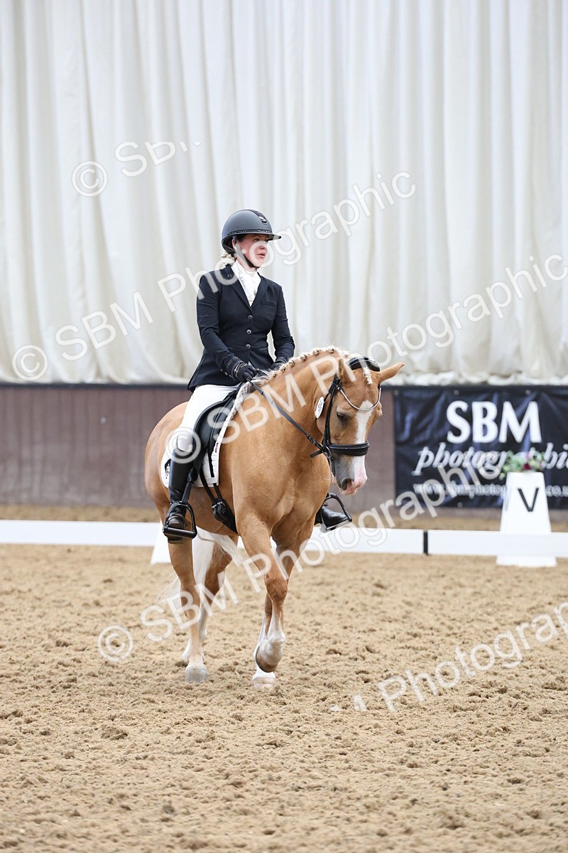 SBM_007552 - Class 23 - Medium FSM Bronze