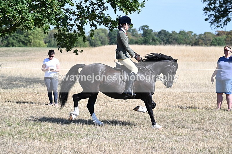 WJ7_3726 - Class 9 Mountain & Moorland Ridden