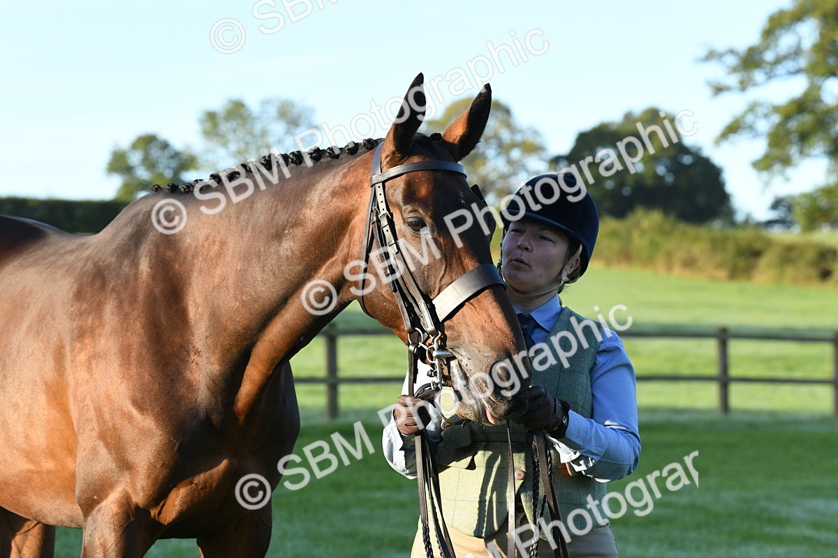 SBM_32641 - S15 - Condition & Turnout In Hand