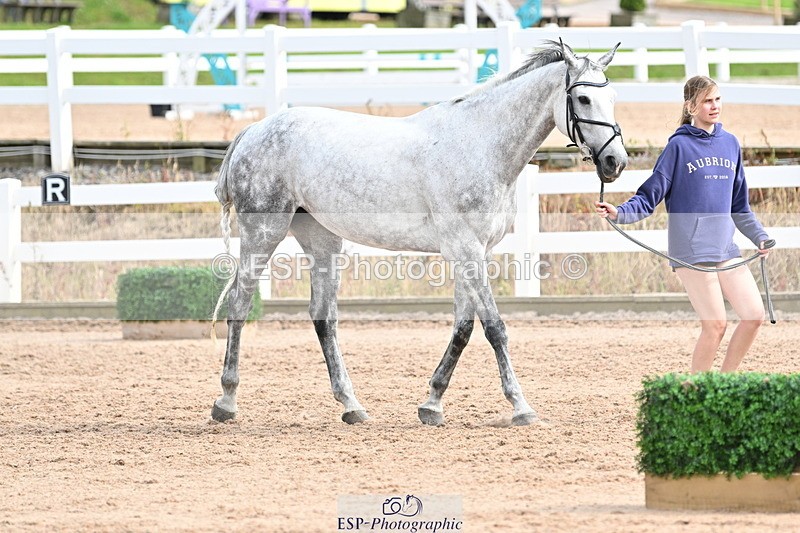 240717A-164557-03528 - Trot Up 4pm to 5pm