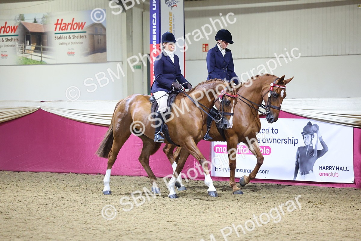0B8A4307 - Class M Ridden Pairs Champ