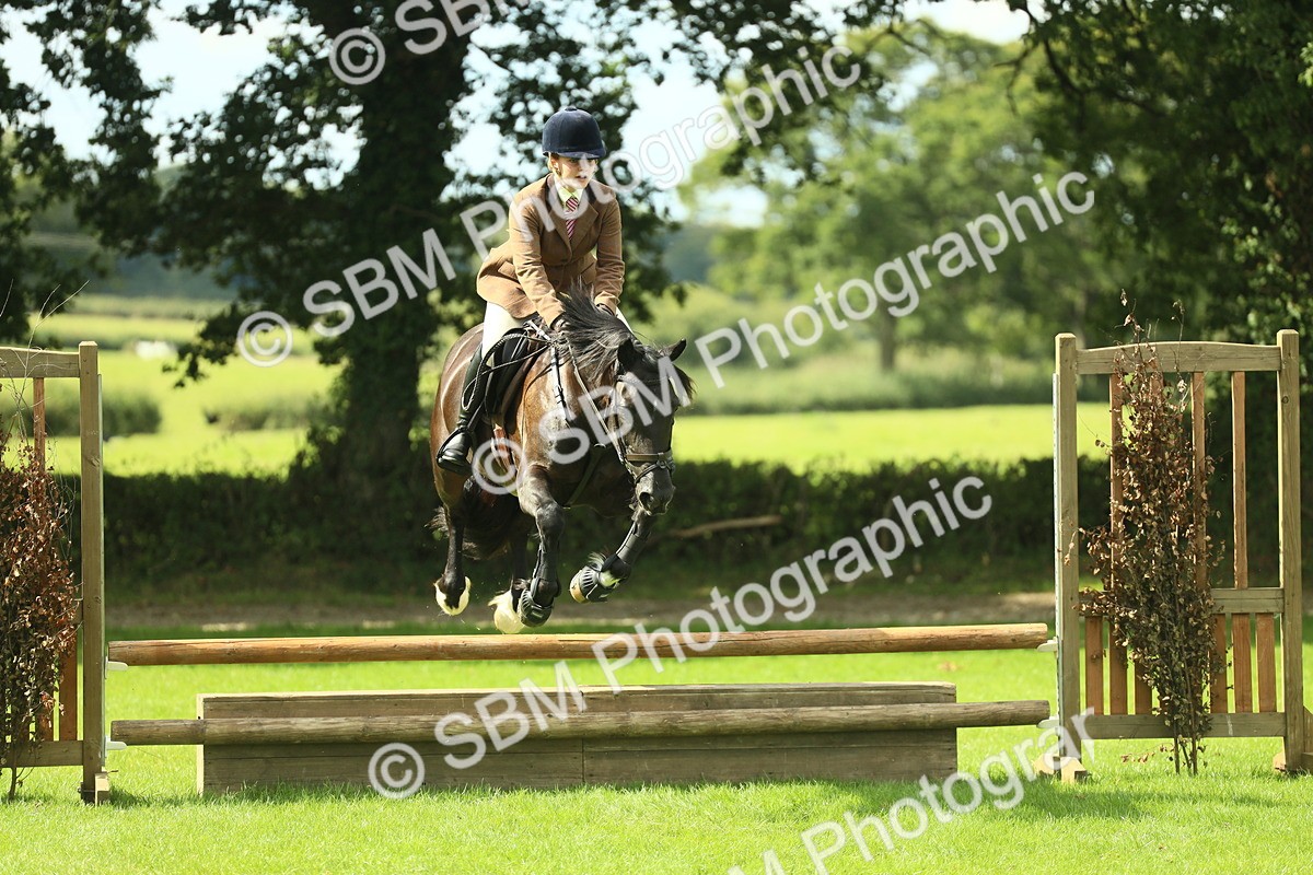 SBM_42873 - S30 - M&M Working hunter Pony