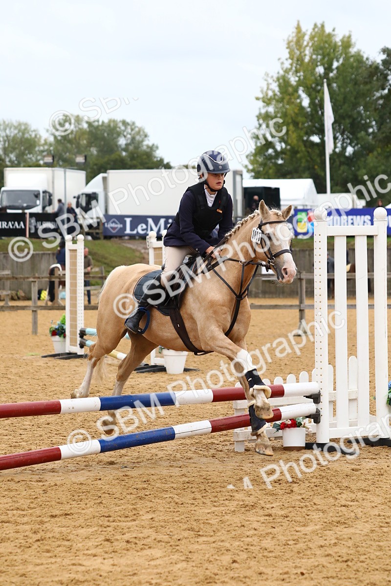 SBM_60090 - J63 - Junior Pony 50cm Championship