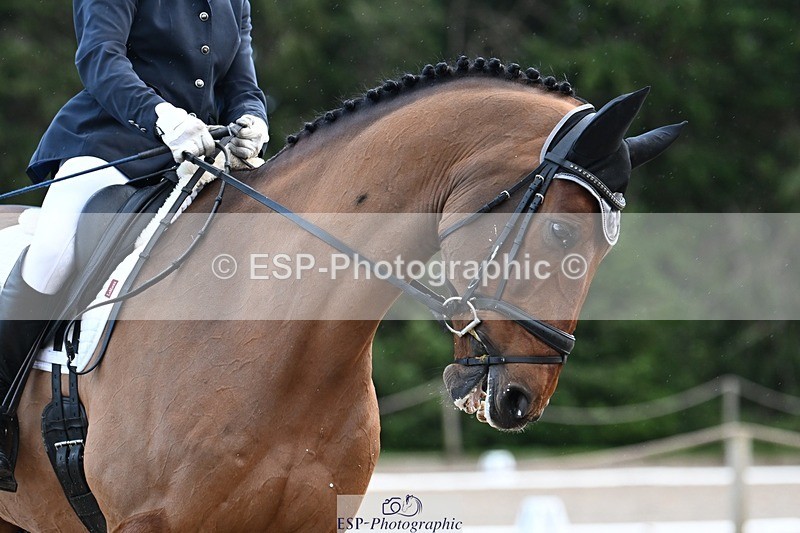 231110-143314-01959 - Cls 8 Medium 75Q