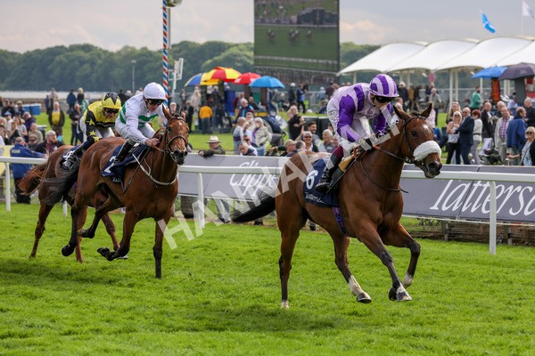 150524-Race 4-Secret Satire-1526 - Race 4 3.45pm Tattersalls Musidora Stakes