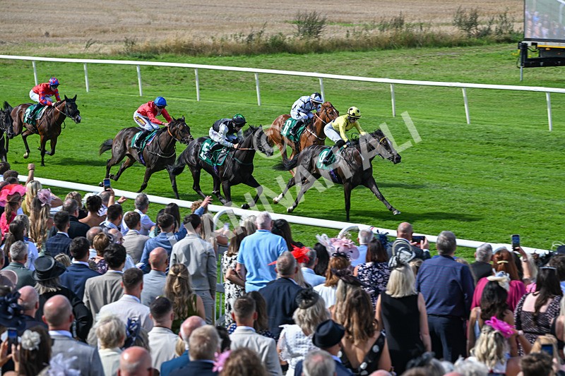 050926-Race 2-This Moment-2778 - Race 2 2.05pm JW4X4 Northallerton Nursery Handicap