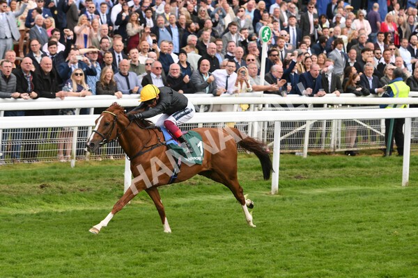 yr13052022r4-44 - Race 4 3.35pm The Paddy Power Yorkshire Cup (British Champions Series Race)