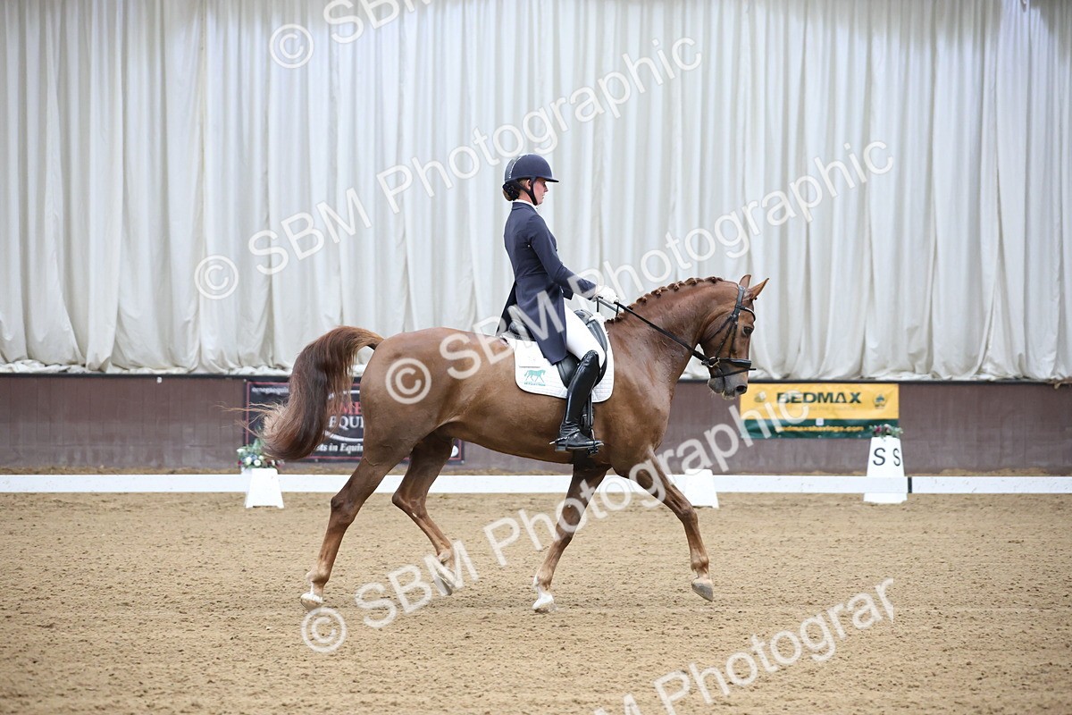SBM_004343 - Class 9 - FEI Inter 1 Gold - 15.55-16.43