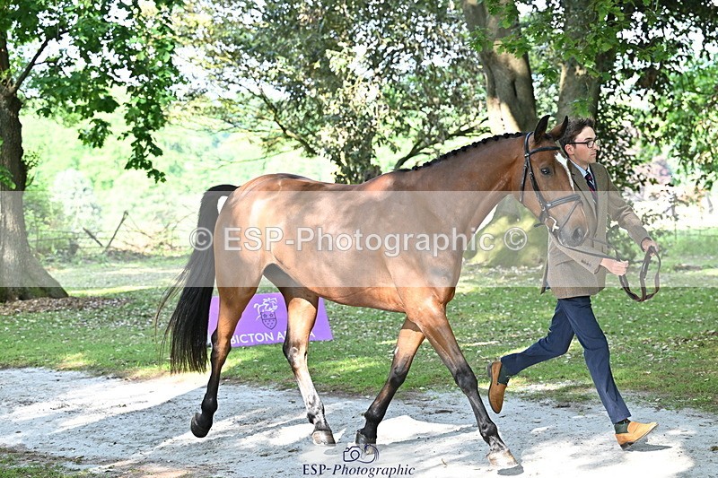 250521A-164633-01322 - C-258-Bill.Levett-ITALIAN.HARLEQUIN.NJ