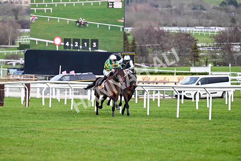 240126-Race 5-Spillanes Tower-7120 - Race 5