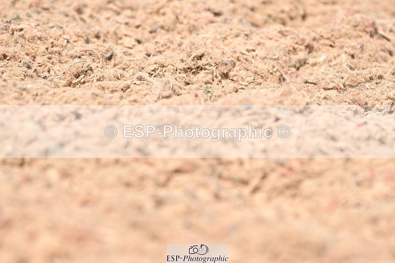 240621A-141123-03867 - Cls 11 BD Medium 73