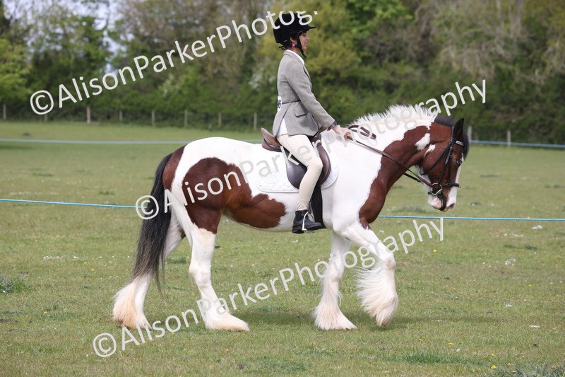 20260426-2895 - Class 33 - Best Pony 14.2hh and Under