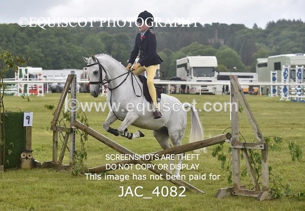 JAC_4082 - 40CM WORKING HUNTER