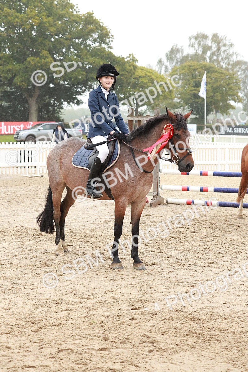 SBM_73556 - Supreme Championship Junior Pony 60cm & 65cm
