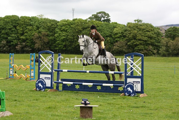 s0271 - MBRC Working Hunter/Jumping June 2015