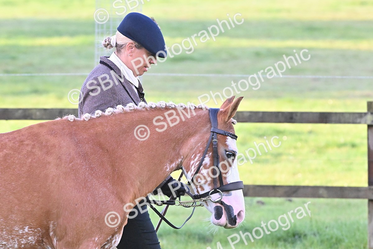 SBM_32538 - S15 - Top Turnout In Hand