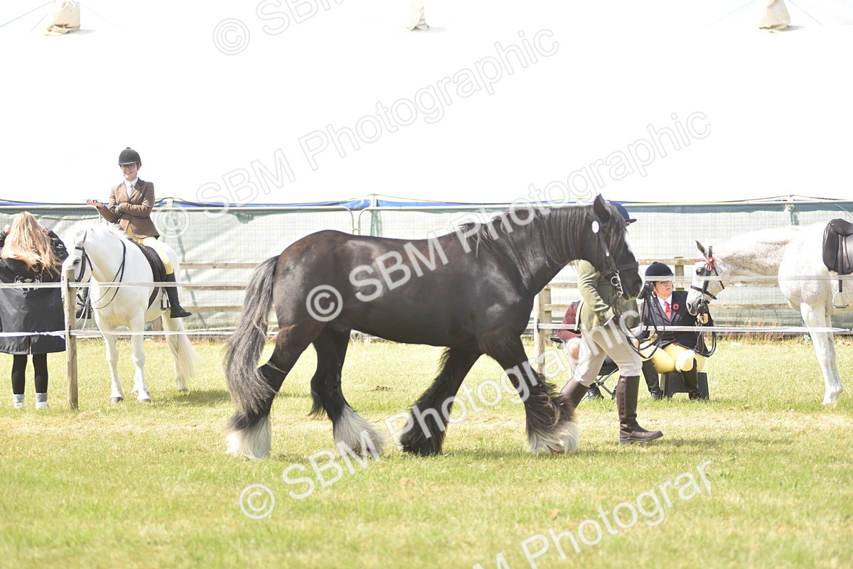 SBM_16078 - Class 117-122 - SSADL RIHS Qualifier