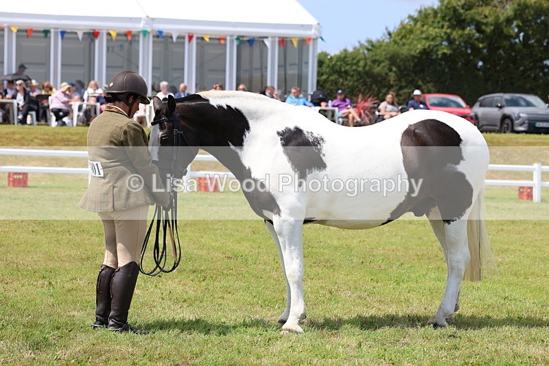3E7A2205 - Class 10: Open Cob