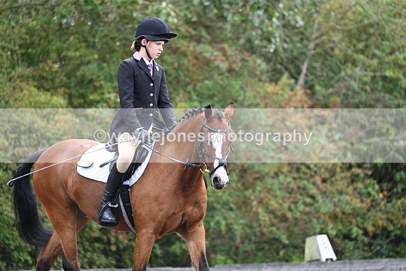 WJ7_3983 - Time 11:04 to 11:38