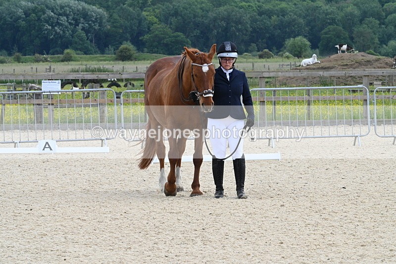 WJ7_8013 - Time 15:39 to 16:08