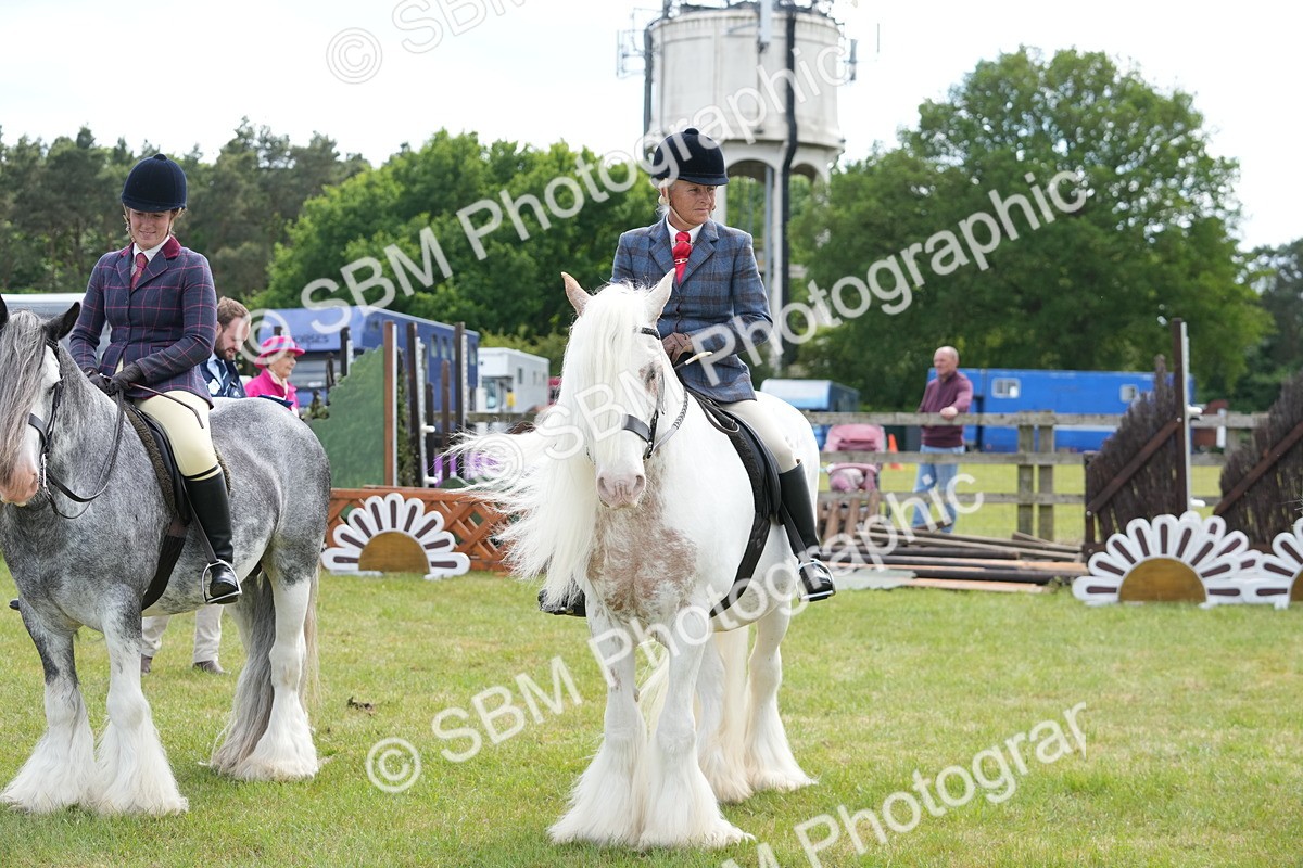 SBM_17312 - Class 107-108 - LIHS BSPS Performance Coloured Horse Pony