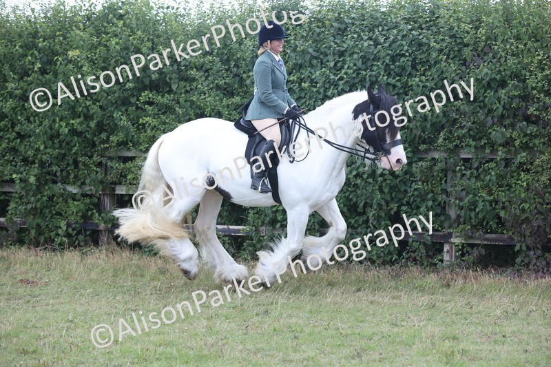 20250831-4257 - Class 20 - Ridden Coloured