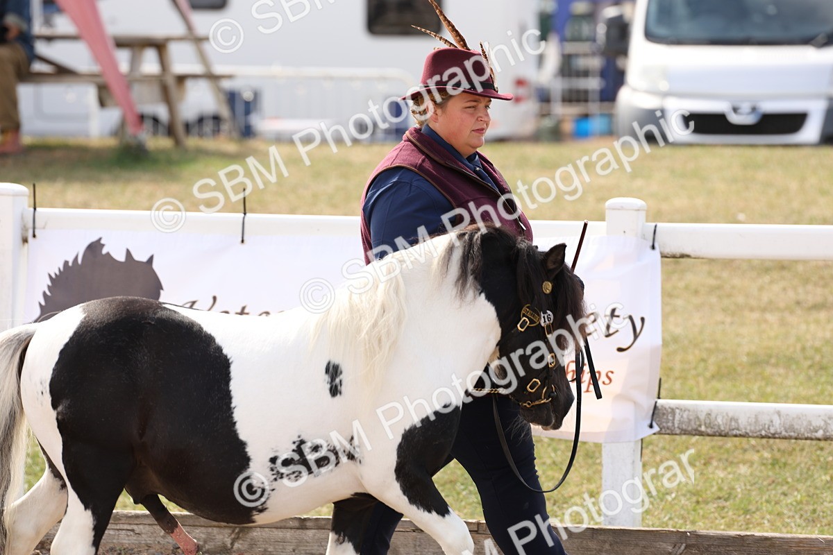 SBM_15024 - Class 209 - IH Veteran Pony