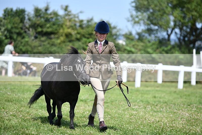 DSC_8174 - Class 67: Child Handler 11 - 16 years