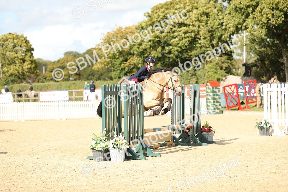 SBM_49542 - J22 - Junior Horse 65cm Championship