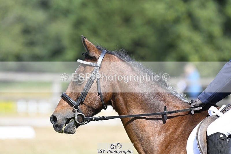 250821A-111338-15240 - DR 11.00 to 12.00