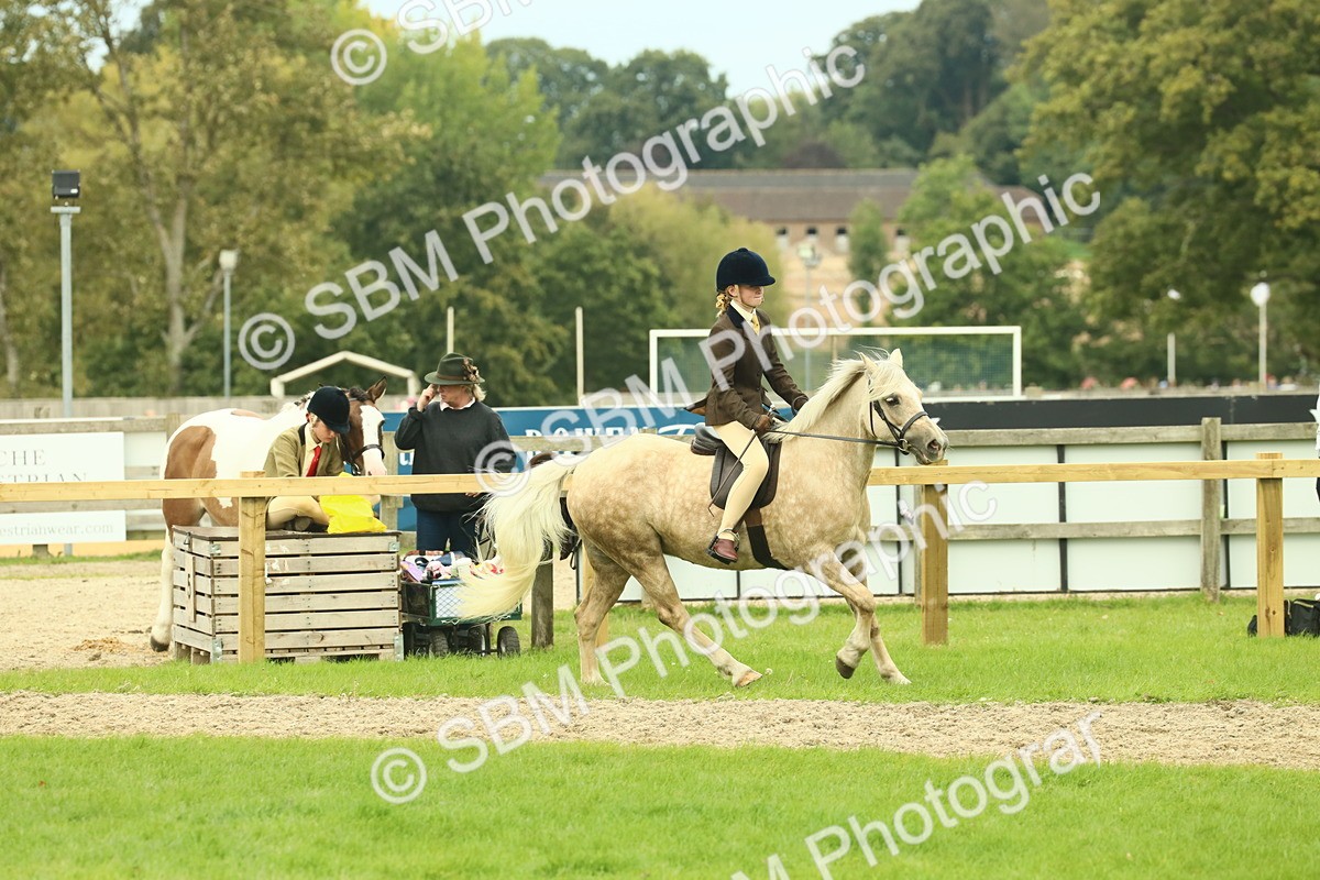 SBM_72031 - S60 - Mountain & Moorland Ridden Large Breeds