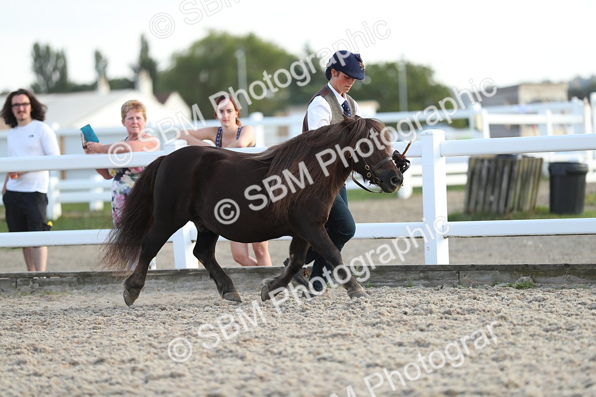 SBM_08907 - Class 29 IH Veteran Pony