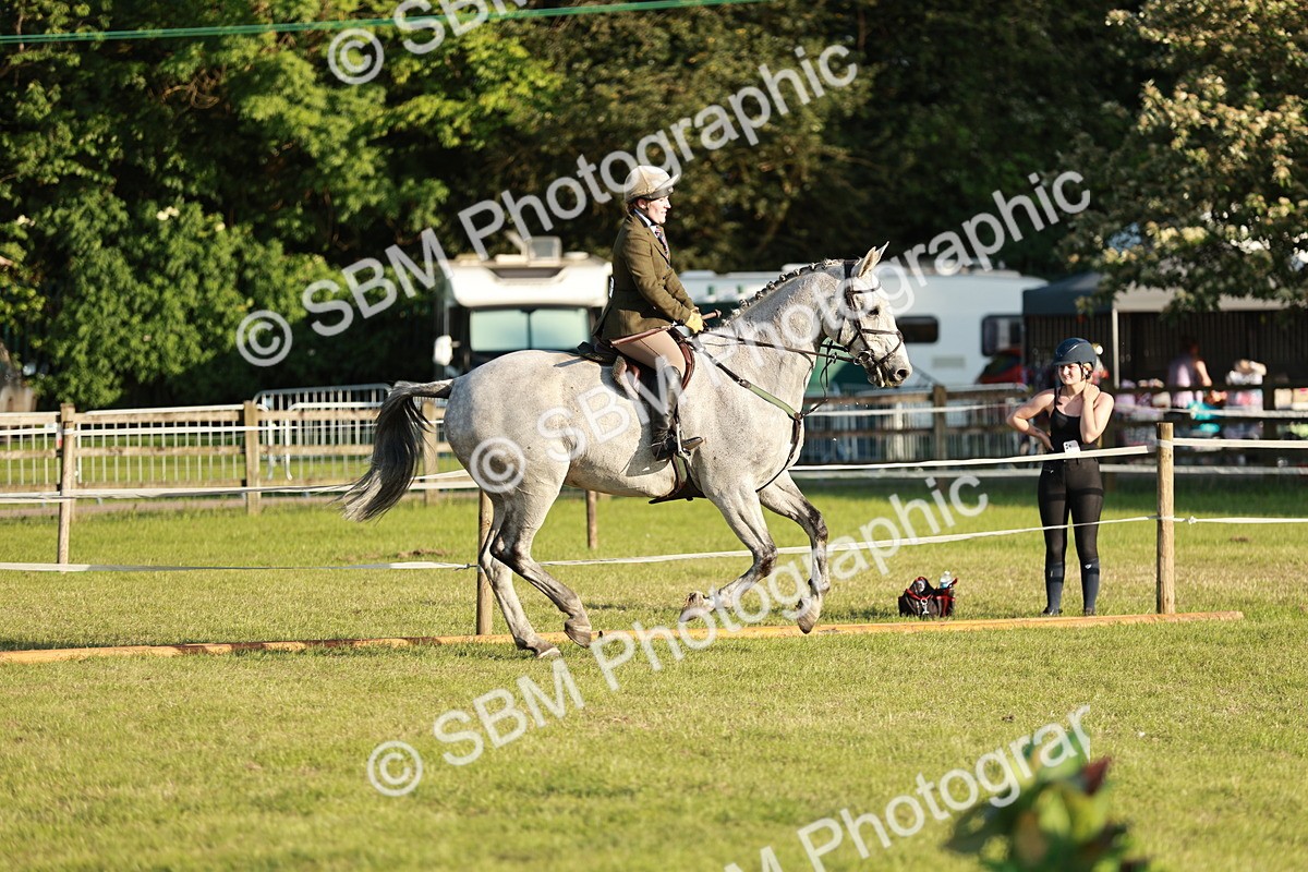 SBM_20448 - Class 117-119 - Sport Horse Working Hunter