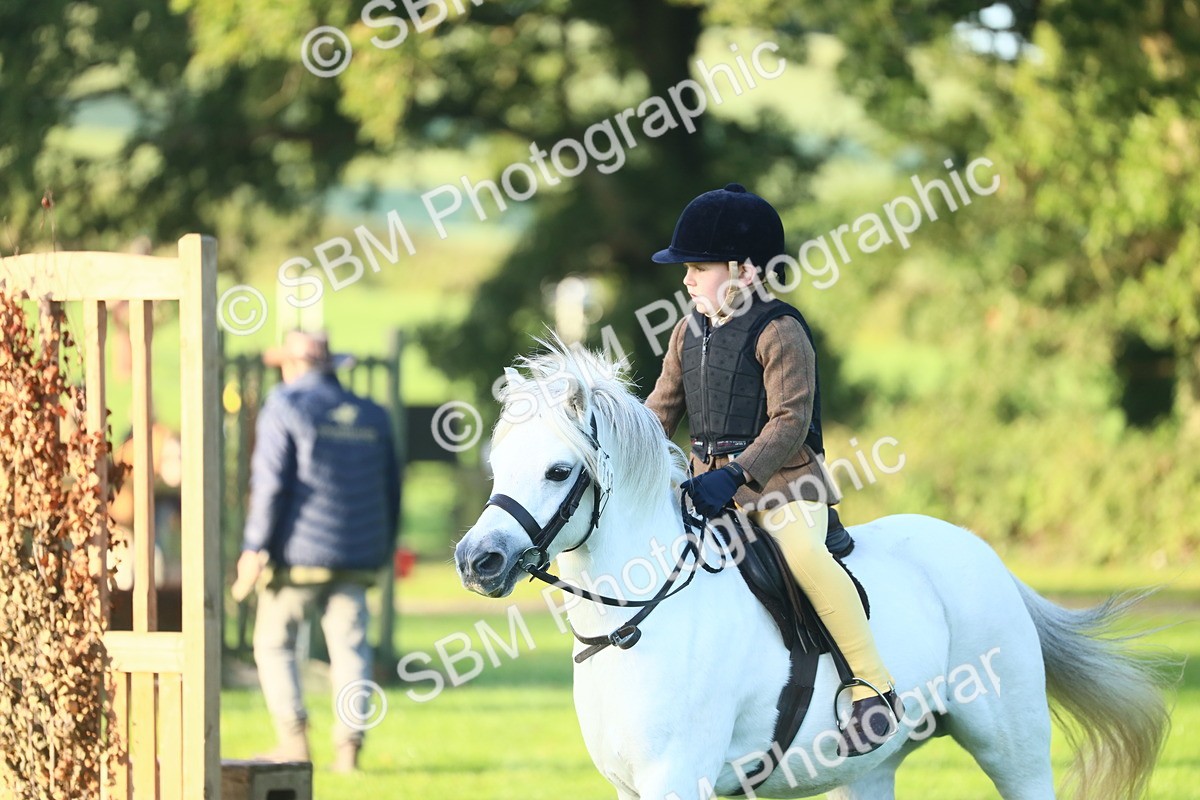 SBM_31801 - S28 - Nursery Stakes Working Hunter Pony