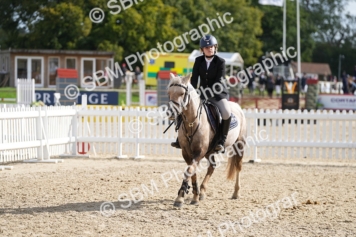 SBM_48564 - J7 - Junior Pony 60cm Championship