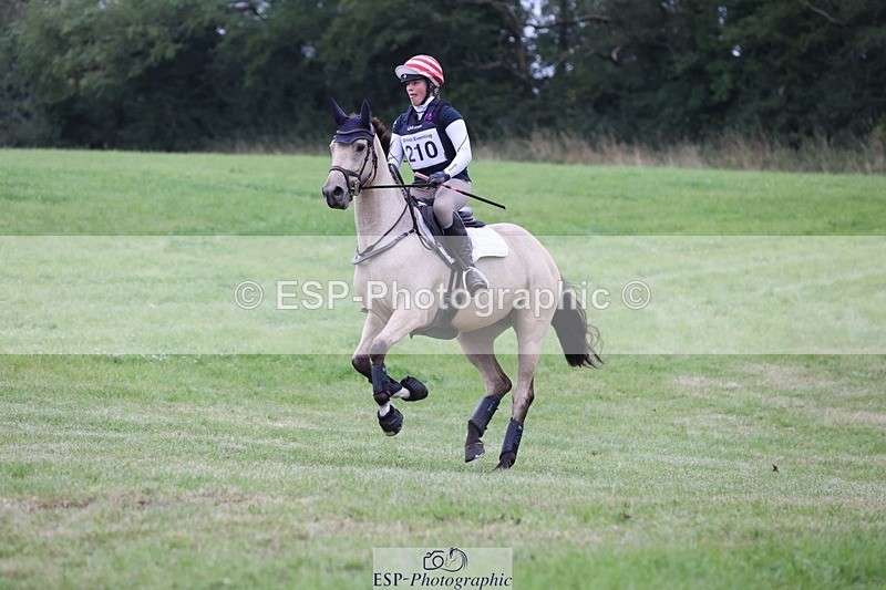 240831A-151628-04630 - 210-Zara.Head-FOURFIELDS.X.FAKTOR