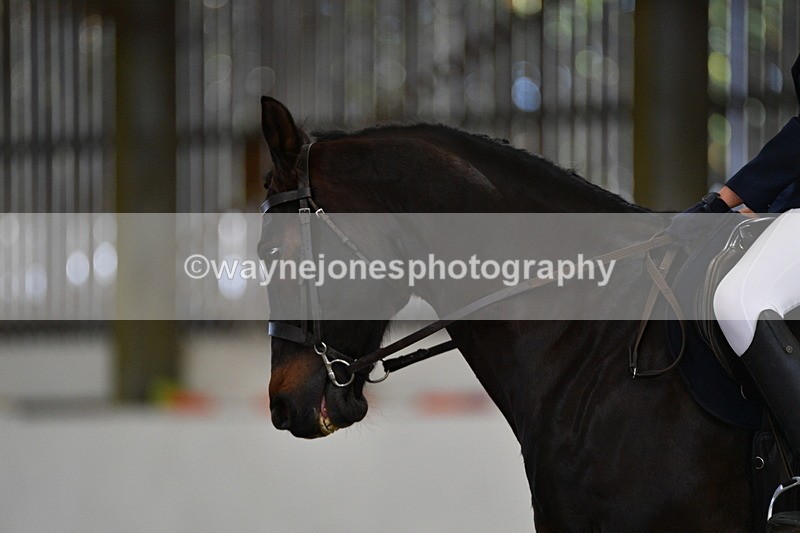 WJ5_7264 - Class 2 Intro Test 2