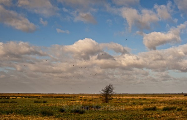  - Landscape