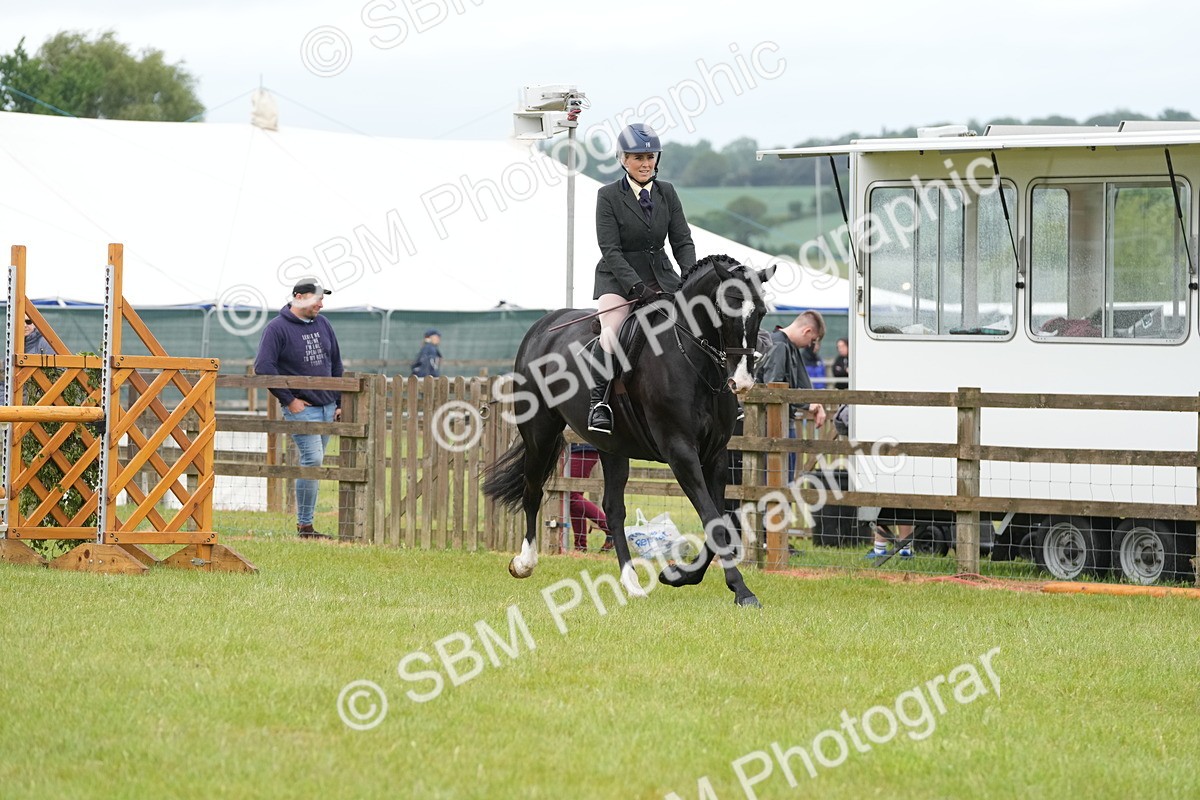 SBM_12712 - Class 97-98 - LIHS BSHA Rising Star Working Show Horse Hunter